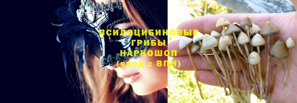 не бодяженный Алзамай