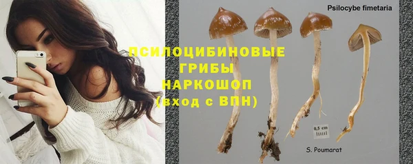 круглые Алексеевка