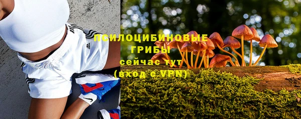 не бодяженный Алзамай