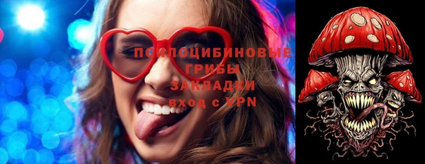 круглые Алексеевка