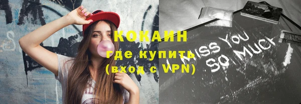 соль ск Алексин