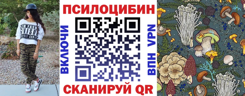 Псилоцибиновые грибы Psilocybe  hydra ССЫЛКА  Нефтекамск 